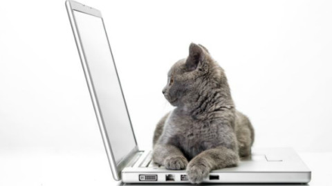 Lo sapevate che esistono social network per gli animali domestici? – Radio Italia