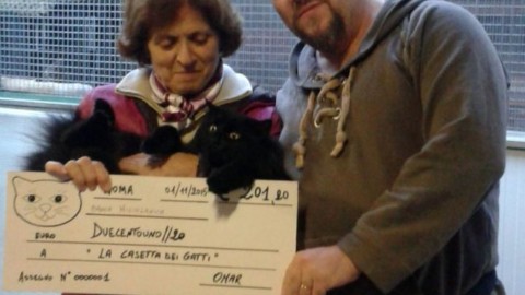 Storia del gatto nero dei VIP che raccoglie fondi per un gattile – Petpassion.tv