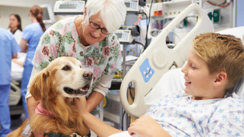 A breve i cani potranno accedere negli ospedali della provincia – Riviera24