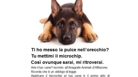 Potrei perderti, campagna Ministero Salute possesso animali d … – Quotidiano Prevenzione