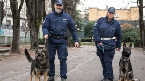 Bologna, il fiuto infallibile dei cani della Municipale. Sequestrati 8 … – Il Resto del Carlino