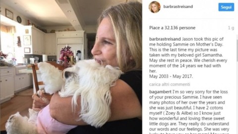 Barbra Streisand ha clonato il suo cane: “Ora aspetto di vedere … – La Repubblica
