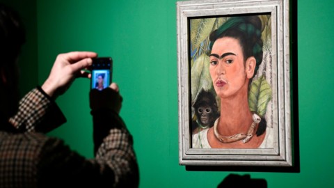 Scimmie, cani, gatti, vermi e uccelli: gli animali di Frida Kahlo in … – Il Sole 24 Ore