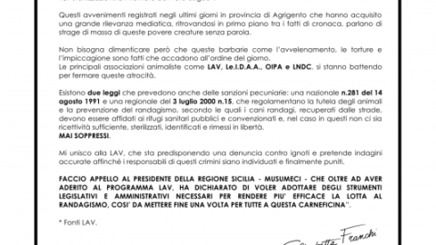 Cani avvelenati, appello sul Corriere La stilista a Musumeci: “Una … – Live Sicilia