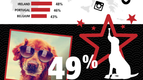 Huawei affronta il rapporto tra il cane e l'uomo… sui social! – Tech Princess (Blog)