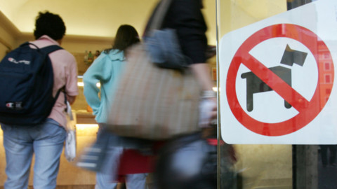Quincinetto (To) vieta l'accesso ai cani in bar, ristoranti e alimentari … – Il Sole 24 Ore
