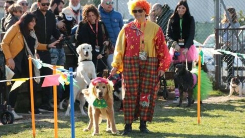 Castrocaro, rinviato a domenica 11 il Carnevale da cani – Il Resto del Carlino
