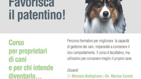 A Foggia un corso dedicato ai proprietari di cani, a chi intende … – l'Immediato