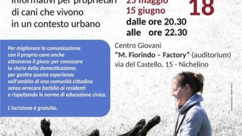 Nichelino, domani parte l'iniziativa “#Canincittà” – TorinOggi.it