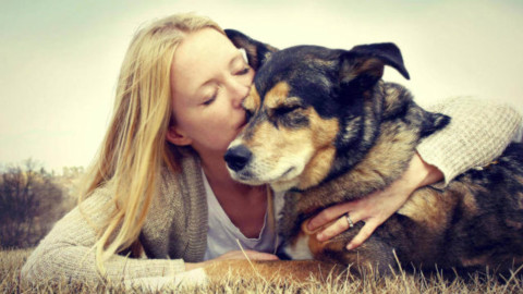 Animali: lo studio, parlare al cane migliora il rapporto con lui – Meteo Web
