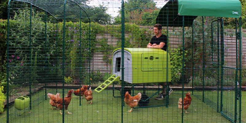 Recinto modulare walk-in per pollai Omlet