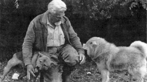 L'uomo incontrò il cane e……..non si lasciarono più! – Cavallo 2000 (Comunicati Stampa) (Blog)