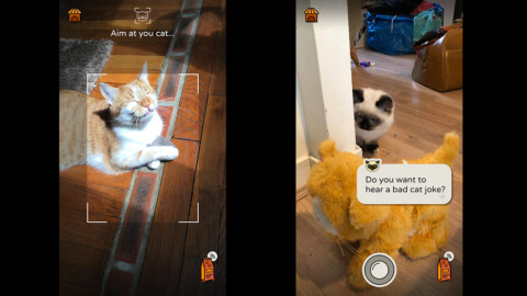 Frimousse, l'app che traduce i pensieri dei gatti – Wired.it