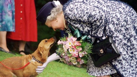 La regina Elisabetta 'piange' il più anziano dei suoi cani. FOTO – Sky Tg24