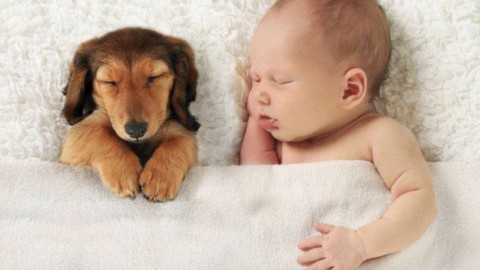 Bambini e animali domestici in casa: è un bene o un male? – CheDonna.it