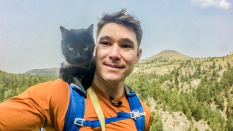 Simon, il gatto avventuroso in viaggio per il mondo – Vanity Fair.it