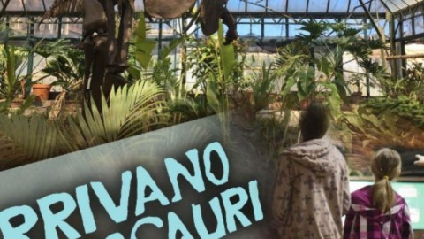 Arrivano i dinosauri in Sicilia – Blasting News