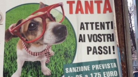 Cuneo in lotta contro i proprietari di cani maleducati – TargatoCn.it