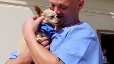 I cani randagi insegnano ai detenuti cos'è l'amore, anche in prigione – Il Secolo XIX