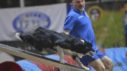 Salti e divertimento, i campioni italiani di ostacoli (con i cani) – Corriere della Sera