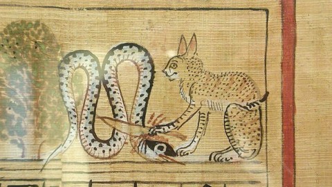 Perché i gatti venivano venerati nell'antichità? – Ultima Voce (Blog)