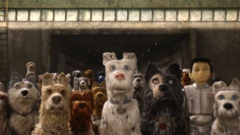 L'isola dei cani di Wes Anderson: Al cinema con i propri animali … – GingerGeneration.it