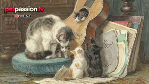 Gatti nella storia: ecco i 5 più famosi – Petpassion.tv