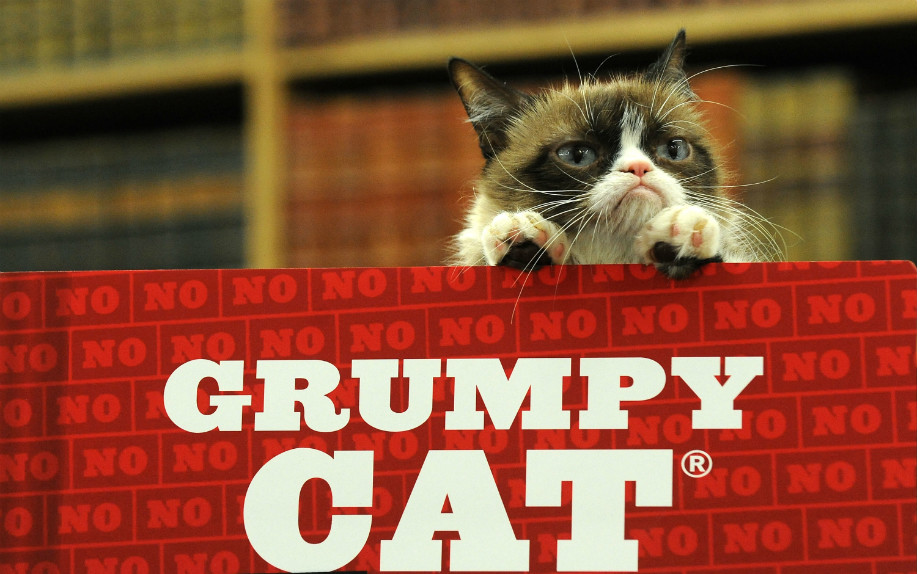 4. grumpy