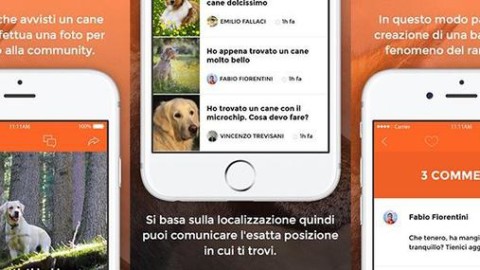 Una app per segnalare i cani randagi e gli ibridi cane-lupo – ANSA.it