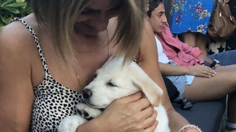 Lara, la cucciola nata dal cane sepolto vivo. «L'abbiamo adottata … – Corriere della Sera