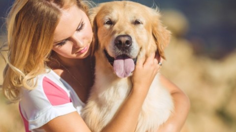 10 consigli per far vivere più a lungo il tuo cane – Metalli Rari