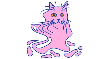 I gatti di Schrödinger dal mondo quantistico alla vita reale
