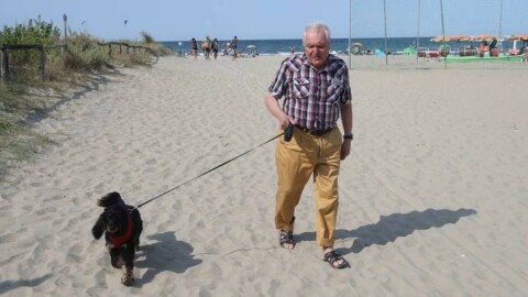 Cani in spiaggia, nuova area a Lido di Savio – Il Resto del Carlino