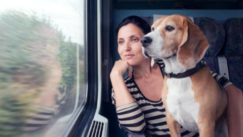 Vacanze in treno, il cane viaggia gratis: l'iniziativa anti-abbandono – Corriere della Sera