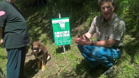 Escursionisti e cani da protezione – laRegione