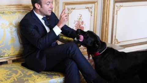 Macron ha Nemo, Trump li evita I leader e la strategia dei cani – Corriere della Sera