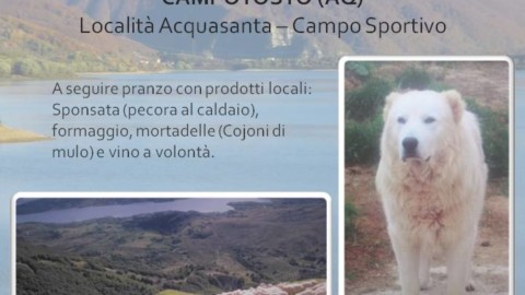 I cani di Rigopiano a Campotosto – Rete8