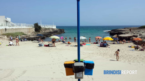 Anche quest'anno sul litorale di Ostuni due spiagge accessibili ai cani – BrindisiReport