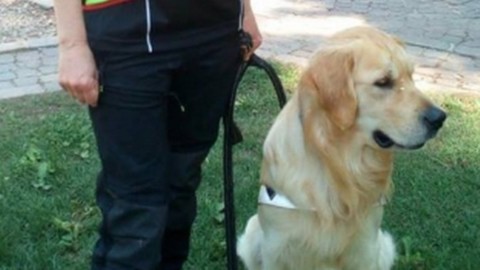 Bergamo, cane da soccorso muore avvelenato. Gli Alpini: “Addio … – La Repubblica
