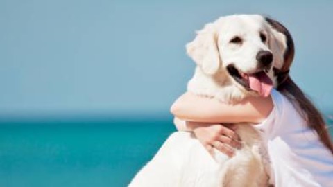 Sardegna, 200 euro di multa a chi porta il cane in spiaggia – il Giornale