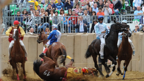 Strappati 50 manifesti LAV con la foto della caduta di un cavallo durante il Palio di Asti