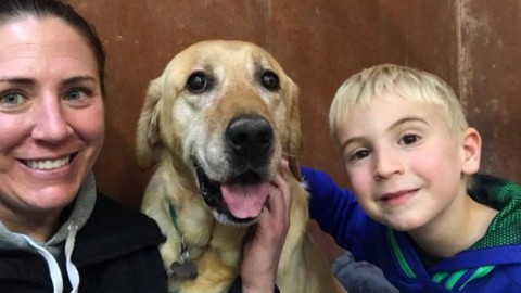 A 7 anni non sapeva quale cane salvare dal canile: ecco cosa ha fatto – Velvet Pets