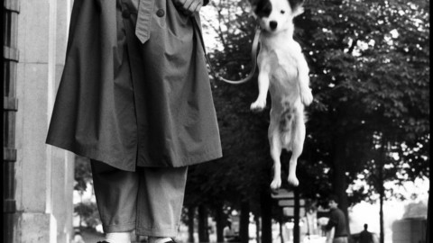 Giornata cane: a Treviso Fido celebrato da Elliott Erwitt – ANSA.it