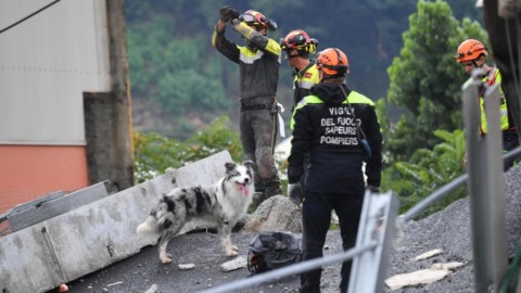 I cani eroi del sisma del 2016 impegnati nei soccorsi a Genova dopo … – La Stampa