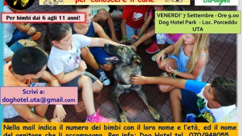 Un progetto per far conoscere i cani ai bambini: a Uta si replica con … – Casteddu on Line