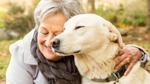 Vivere con un cane o un gatto aiuta 9 anziani su 10 – Il Sole 24 ORE