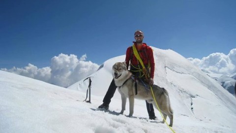Nepal, il cane alpinista raggiunge 4mila metri d'altezza: ha scalato il … – Scienze Fanpage