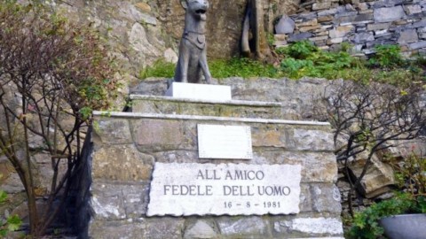 Premio Fedeltà del Cane a San Rocco di Camogli, le prime storie … – Il Nuovo Levante