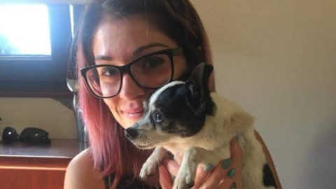 Cercano per 4 anni il cane scomparso: “Pepe” ritrovato in un canile … – La Repubblica