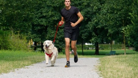 La corsa con il cane fa bene anche al cane: Bob Martin Dog Run a … – sportoutdoor24.it